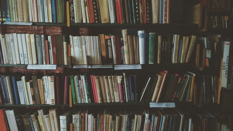 librairie-VALBONNE-min_bookcase-1869616 (1)